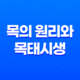 목(木)의 원리와 목태시생(木太始生) 21