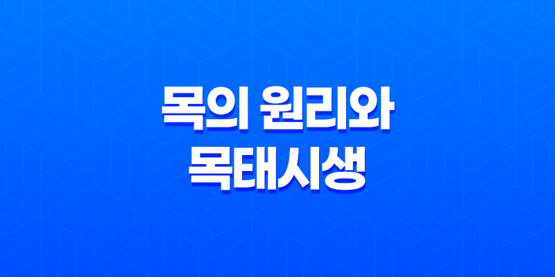 목(木)의 원리와 목태시생(木太始生) 7