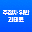 주정차 위반 과태료 조회 방법과 주의사항, 빈번한 주정차 위반 사례 알아보기 29