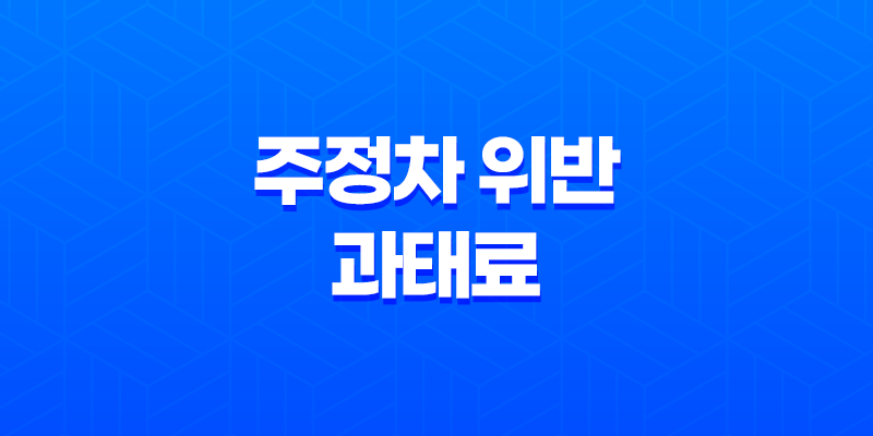 주정차 위반 과태료 조회 방법과 주의사항, 빈번한 주정차 위반 사례 알아보기 8 주정차 위반 과태료 조회 방법과 주의사항, 빈번한 주정차 위반 사례 알아보기 7