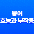 붕어 효능과 부작용(+ 다이어트와 건강에 도움되는 붕어!) 37
