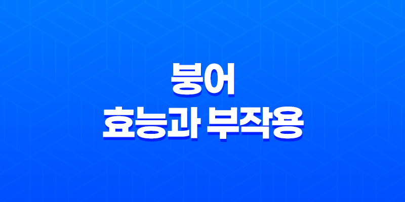 붕어 효능과 부작용(+ 다이어트와 건강에 도움되는 붕어!) 8 붕어 효능과 부작용(+ 다이어트와 건강에 도움되는 붕어!) 7