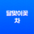 달맞이꽃 차와 달맞이꽃의 다양한 효능과 만드는 방법 23
