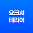 요크셔테리어, 귀여운 외모와 놀라운 성격을 지닌 소형견 25