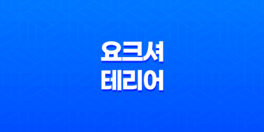 요크셔테리어, 귀여운 외모와 놀라운 성격을 지닌 소형견 39