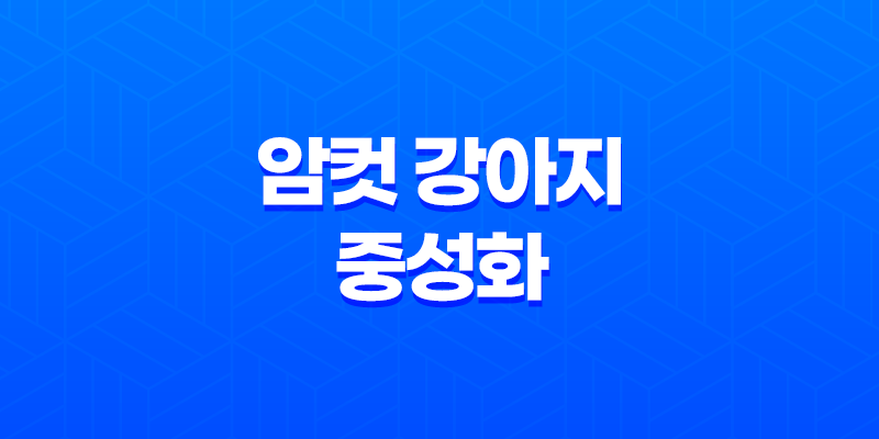 암컷 강아지 중성화 수술시기, 수술 후 관리 8 암컷 강아지 중성화 수술시기, 수술 후 관리 7