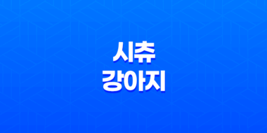 시츄 강아지, 사랑스럽고 활발한 특성, 털 빠짐과 취약 질병에 대한 모든 것 63