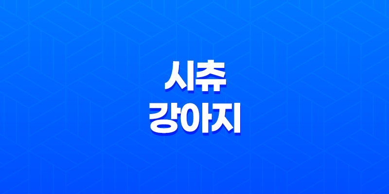 시츄 강아지, 사랑스럽고 활발한 특성, 털 빠짐과 취약 질병에 대한 모든 것 8 시츄 강아지, 사랑스럽고 활발한 특성, 털 빠짐과 취약 질병에 대한 모든 것 7