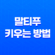 말티푸 성격, 특징, 잘 키우는 방법 25