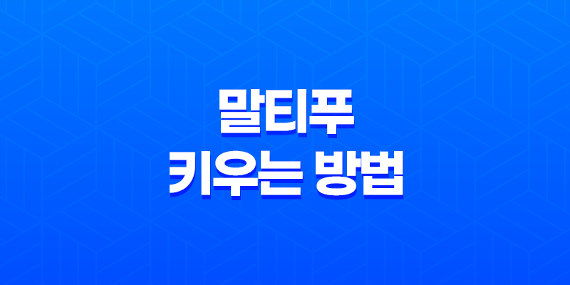 말티푸 성격, 특징, 잘 키우는 방법 8 말티푸 성격, 특징, 잘 키우는 방법 7