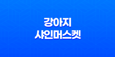 강아지 샤인머스켓 위험과 대처 방법 61