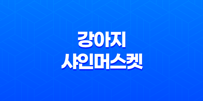 강아지 샤인머스켓 위험과 대처 방법 8 강아지 샤인머스켓 위험과 대처 방법 7