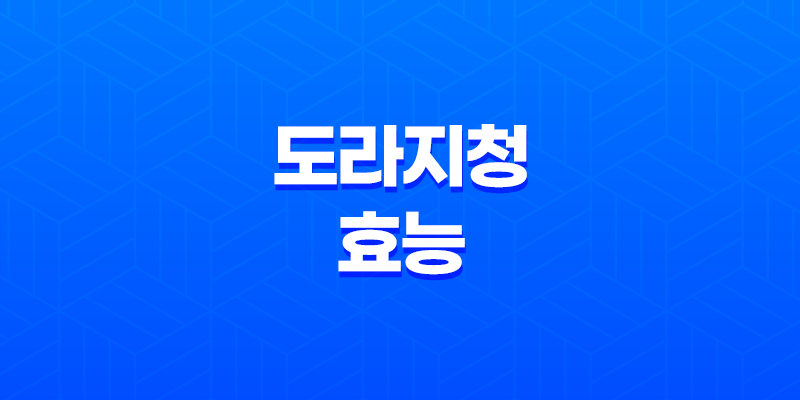 도라지청의 효능과 만드는 방법 8 도라지청의 효능과 만드는 방법 7