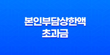 본인부담상한액 초과금 조회 방법 27