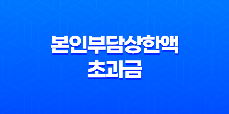 본인부담상한액 초과금 조회 방법 8 본인부담상한액 초과금 조회 방법 7