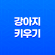 강아지 키우기, 주의사항과 유용한 정보 41