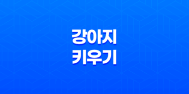 강아지 키우기, 주의사항과 유용한 정보 47