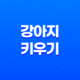 강아지 키우기, 주의사항과 유용한 정보 27