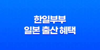 한일부부 일본 출산 혜택 - 양육수당, 아동수당, 출산지원금 안내 47