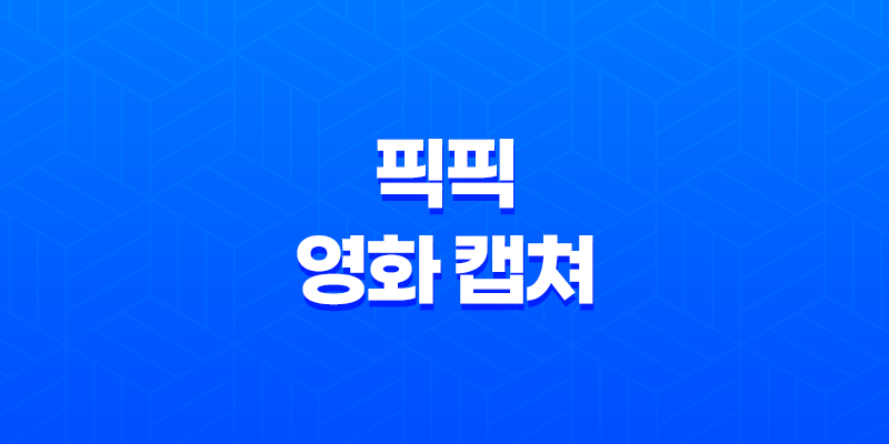 픽픽 (PicPick) - 강력한 영화 캡쳐 프로그램 추천 7