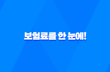 보험료를 한 눈에! 생명보험협회 내보험찾아줌 소개 7