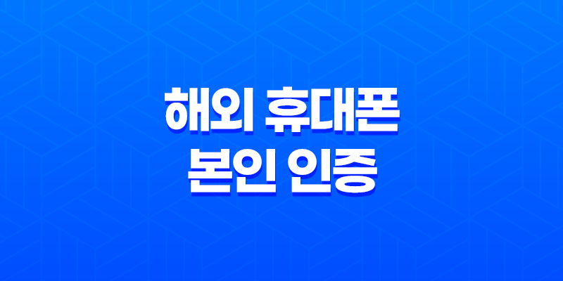해외 휴대폰 본인 인증(+ 다날 휴대폰 결제 서비스의 인증 실패와 해결책!) 8 해외 휴대폰 본인 인증(+ 다날 휴대폰 결제 서비스의 인증 실패와 해결책!) 7