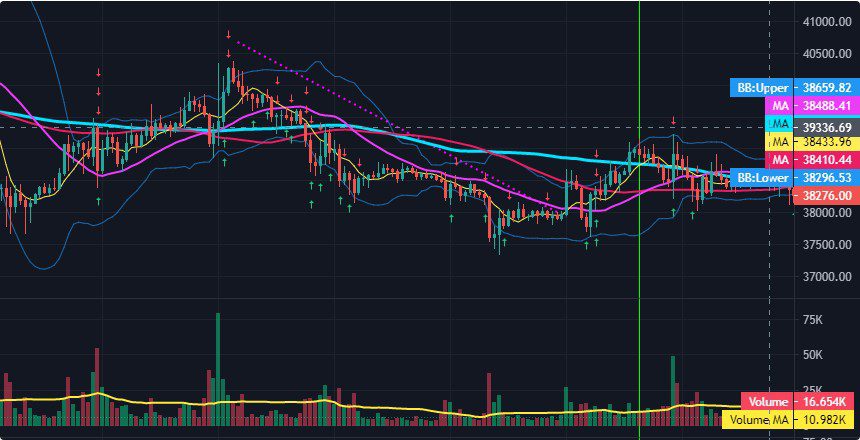 2. 윗꼬리 이후의 차트 움직임