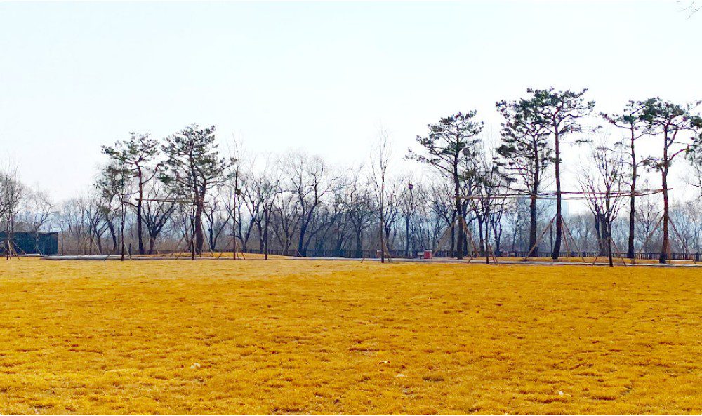 한강난지캠핑장 서울에서 가장 인기 있는 도심 속 휴식처 15