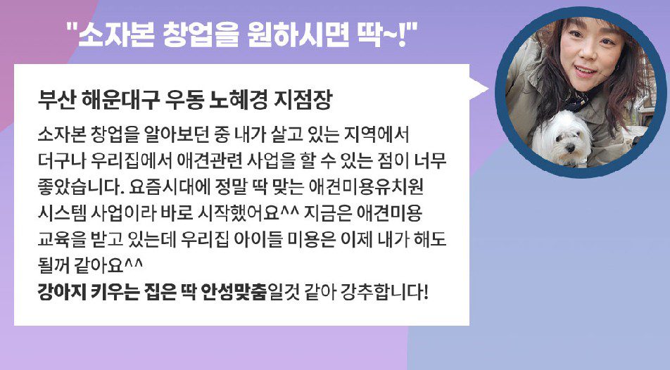 애견미용샵 창업, 소자본으로 시작하는 무궁무진한 가능성! 7