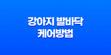 강아지 발바닥 케어방법 알아보자! 37