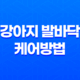 강아지 발바닥 케어방법 알아보자! 25