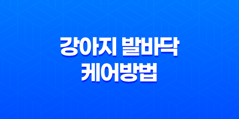 강아지 발바닥 케어방법 알아보자! 8 강아지 발바닥 케어방법 알아보자! 7