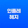 인플레 헤지 - 화폐 가치 보존을 위한 전략 11