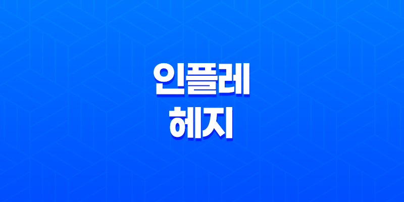 인플레 헤지 - 화폐 가치 보존을 위한 전략 8 인플레 헤지 - 화폐 가치 보존을 위한 전략 7