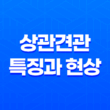 상관견관(傷官見官)의 특징과 현상 - 직장에서의 도전과 성공 65