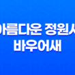 숲 속의 아름다운 정원사, 바우어새 21