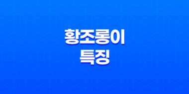 도시 생태계의 아름다움, 황조롱이의 놀라운 적응력 61
