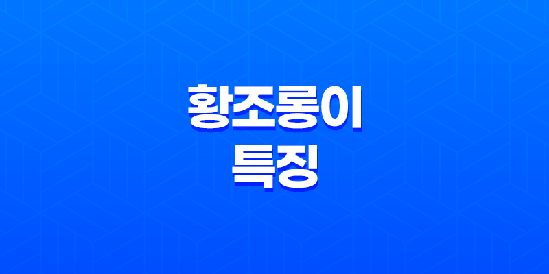 도시 생태계의 아름다움, 황조롱이의 놀라운 적응력 7
