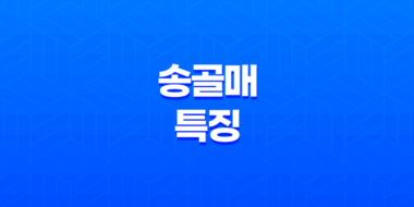 세계에서 빠른 새, 매매 : 송골매의 놀라운 특징과 서식지 27