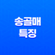 세계에서 빠른 새, 매매 : 송골매의 놀라운 특징과 서식지 25