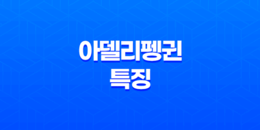 아델리펭귄 - 남극의 우아한 여행자 51