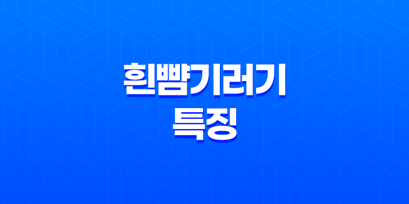 놀라운 자연의 기적, 흰뺨기러기의 생존 비밀 8 놀라운 자연의 기적, 흰뺨기러기의 생존 비밀 7