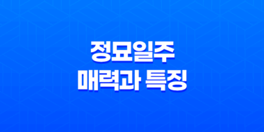 정묘일주(丁卯日柱)의 매력과 특징 35