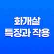 화개살(華蓋煞)의 특징과 작용, 예술과 부, 그 미묘한 세계 19