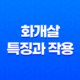 화개살(華蓋煞)의 특징과 작용, 예술과 부, 그 미묘한 세계 17