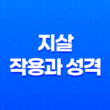 지살(地殺)의 작용과 성격 및 특징 - 새로운 출발과 도전 15