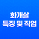 화개살(華蓋煞) 특징 및 직업 보는법 - 내면 아름다움과 예술적 능력 21