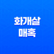 화개살의 매혹 - 화려함을 둘러싼 고독과 미덕 21