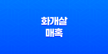 화개살의 매혹 - 화려함을 둘러싼 고독과 미덕 39
