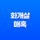 화개살의 매혹 - 화려함을 둘러싼 고독과 미덕 11